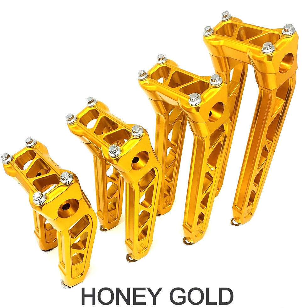 ariel zonis add photo honey gold motorcycle