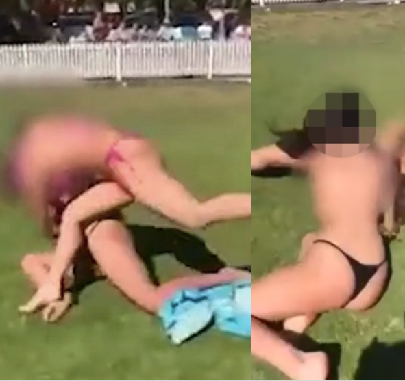 dana musachia recommends naked girl fight pic