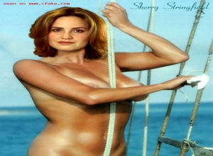 chuck boogie recommends sherry stringfield nude pic