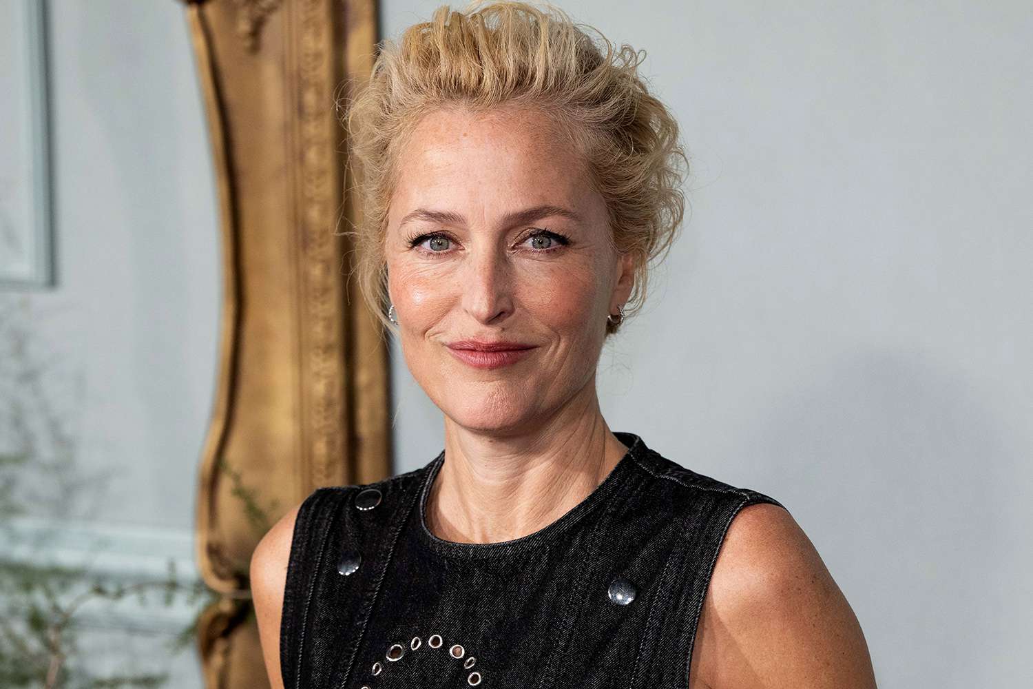 cecile truong recommends Gillian Anderson Pron