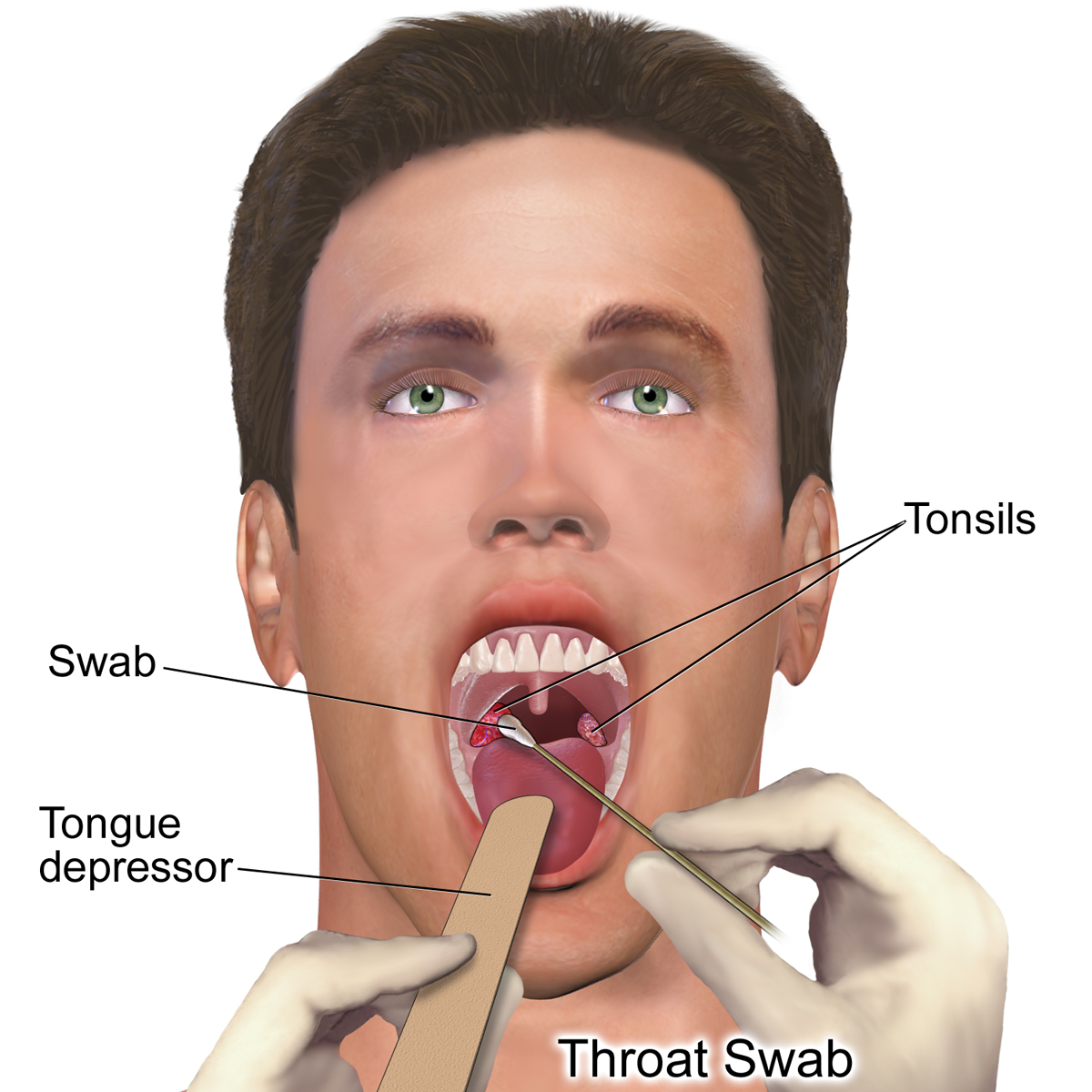 syntribation sex toys